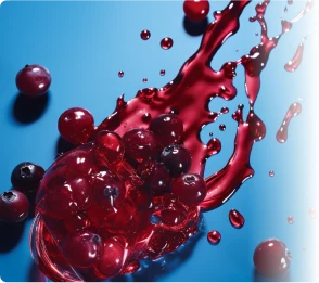 Cranberry Extract Icon