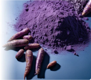 Purple Carrot Powder Icon